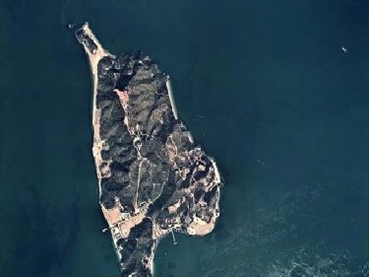 広島県竹原市 大久野島の航空写真