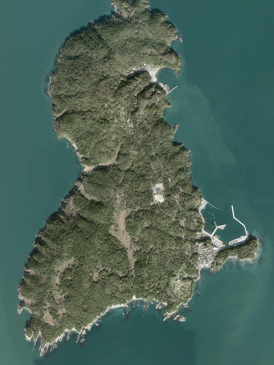 宮城県石巻市 田代島の航空写真