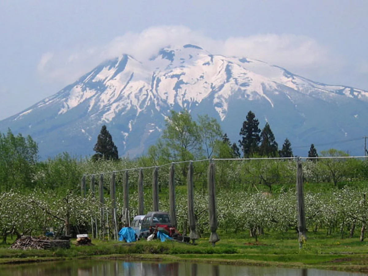 弘前市小沢から南東側より望む岩木山