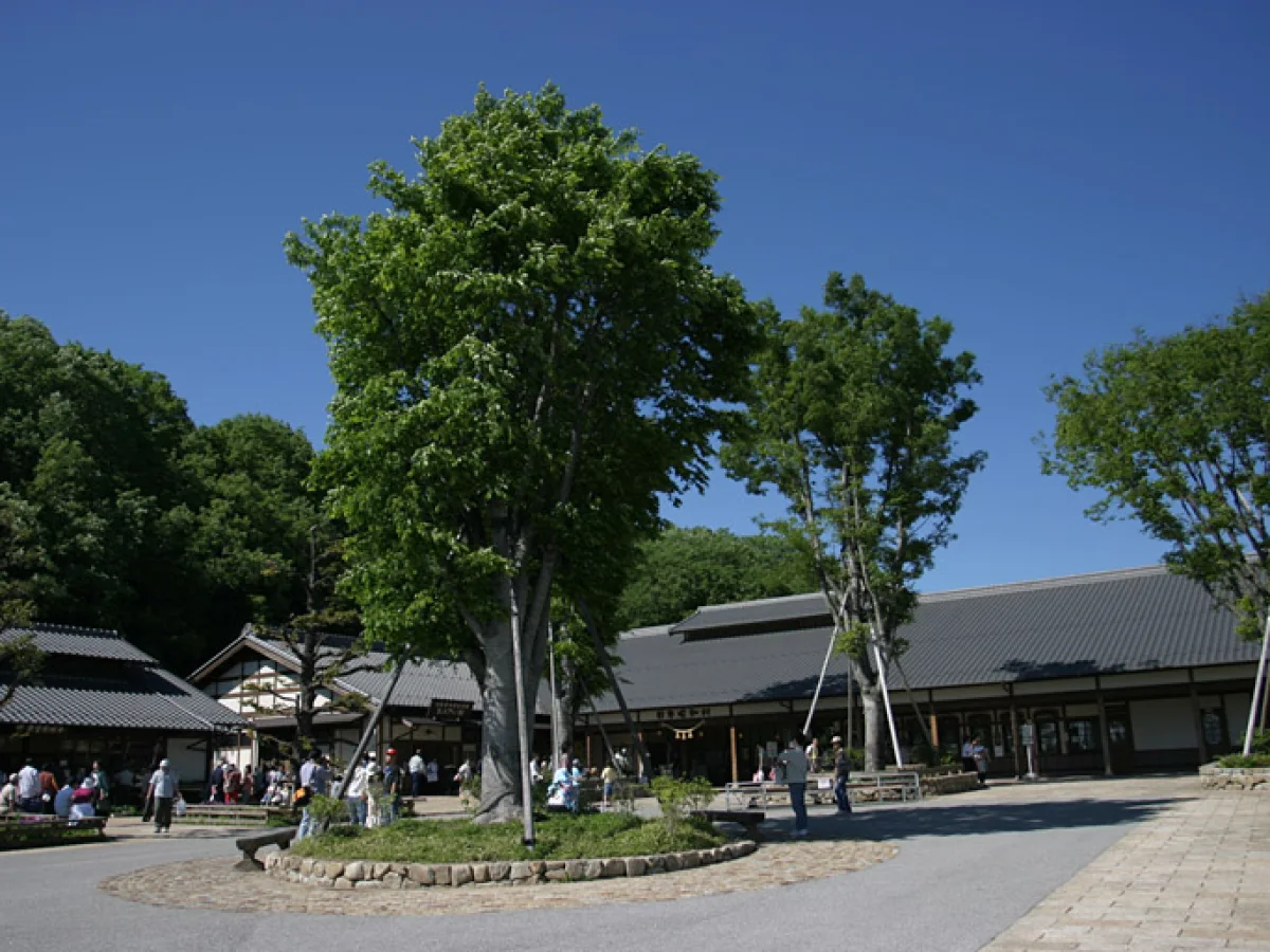日本昭和村時代の現在のぎふ清流里山公園の園内風景