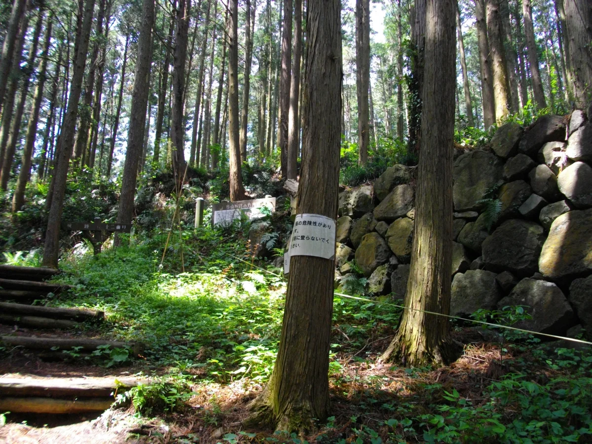 烏山城跡の遺構