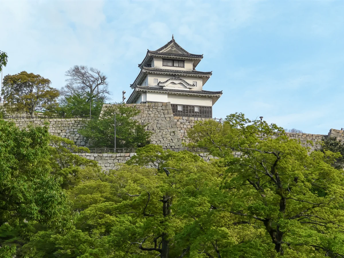 大手二の門付近から望む丸亀城天守の北面