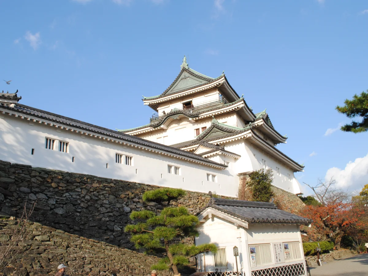 和歌山城の曲輪と天守